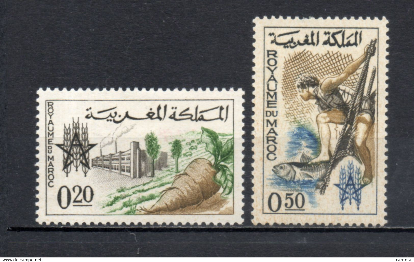 MAROC N°  459 + 460    NEUFS SANS CHARNIERE  COTE 2.00€   CAMPAGNE CONTRE LA FAIM - Maroc (1956-...)