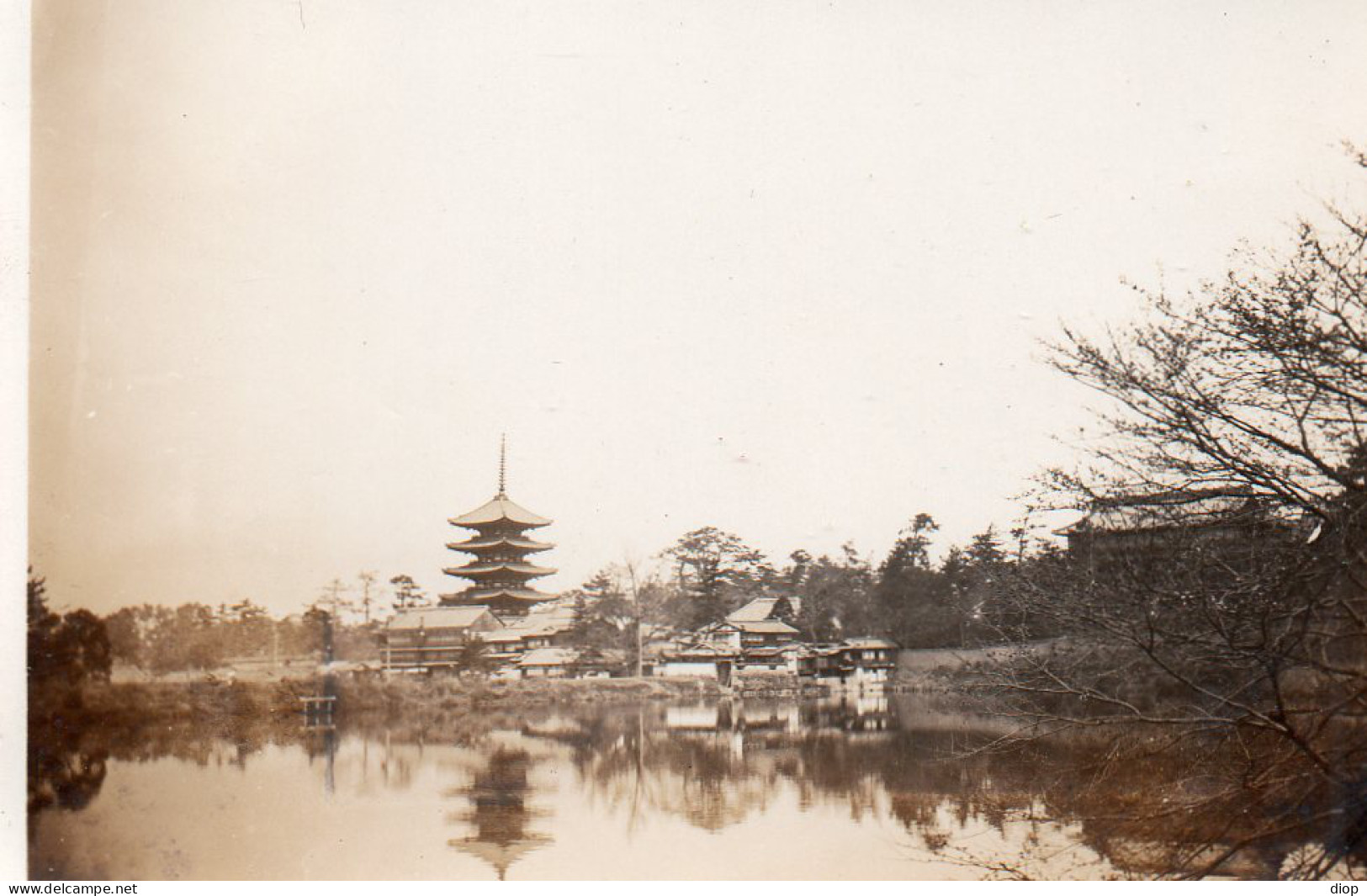 Photographie Photo Vintage Snapshot Japon Japan Nara - Places