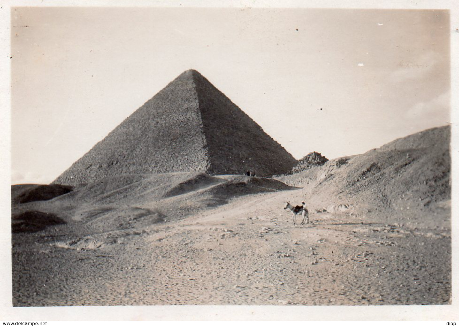 Photographie Photo Vintage Snapshot Afrique Egypte Pyramide Sphynx - Afrika