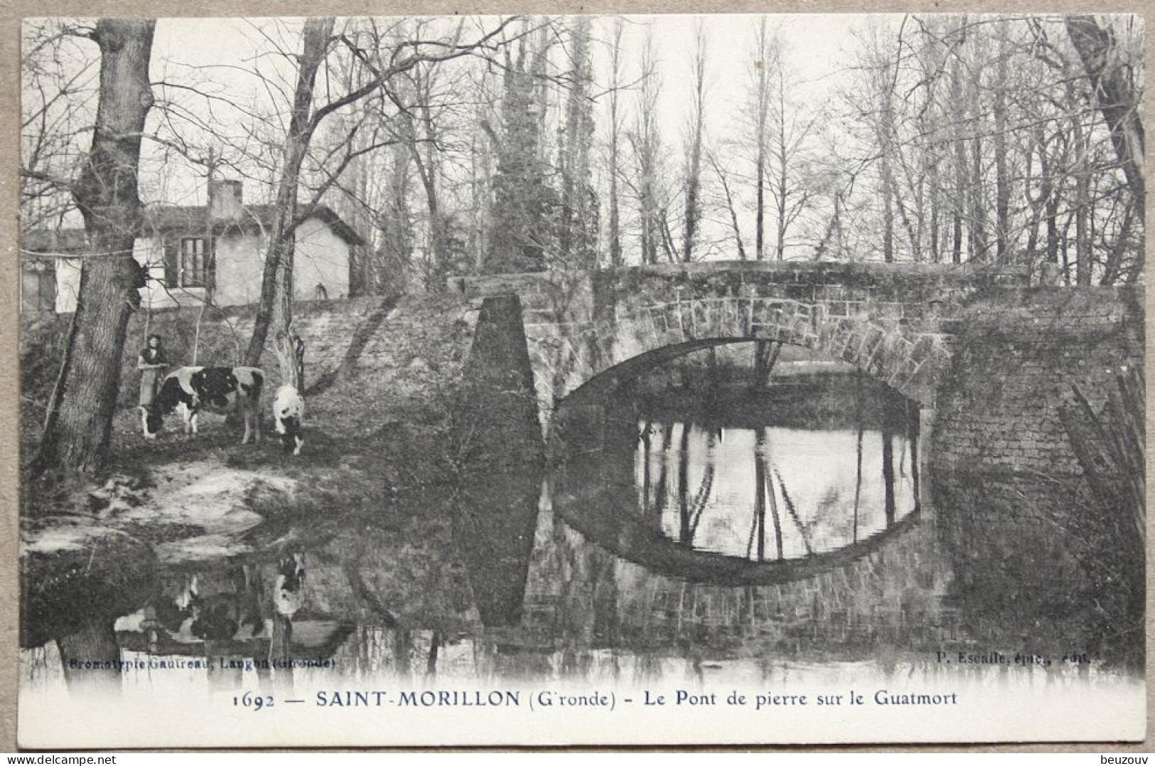 CP SAINT MORILLON Le Pont De Pierre Sur Le Guatmort - Vache - Altri & Non Classificati