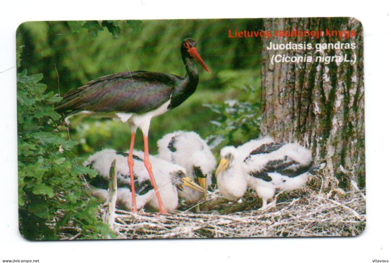 Oiseau Juodanis Gandras Bird  Télécarte Lettonie Telefonkarte Phonecard (K 352) - Latvia