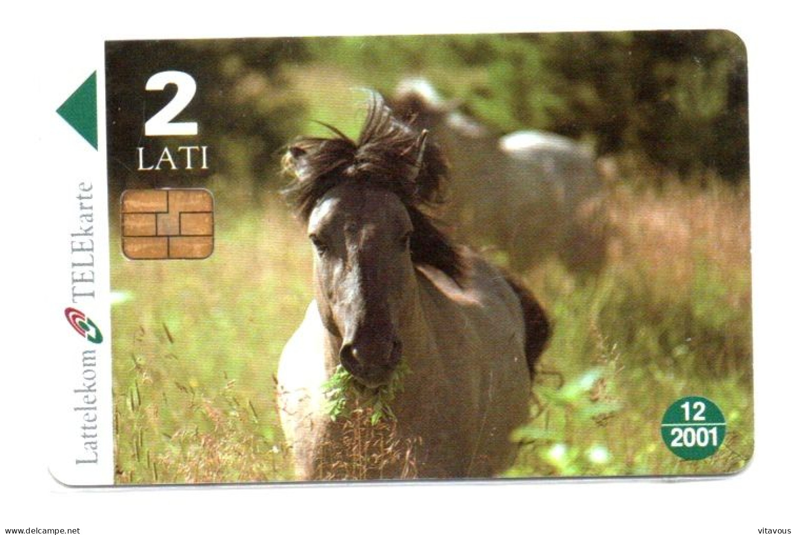 Cheval Horse Animal  Télécarte Lettonie Telefonkarte Phonecard (K 353) - Letonia