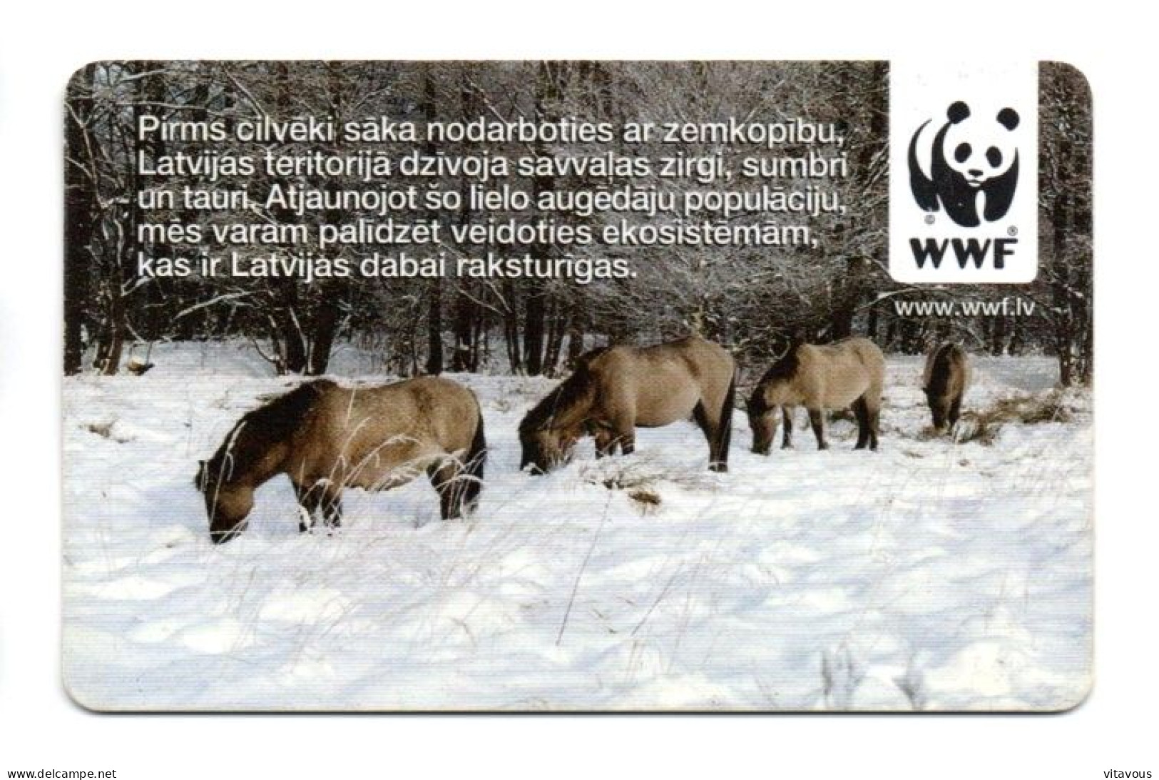 Cheval Horse Animal  Télécarte Lettonie Telefonkarte Phonecard (K 353) - Letland