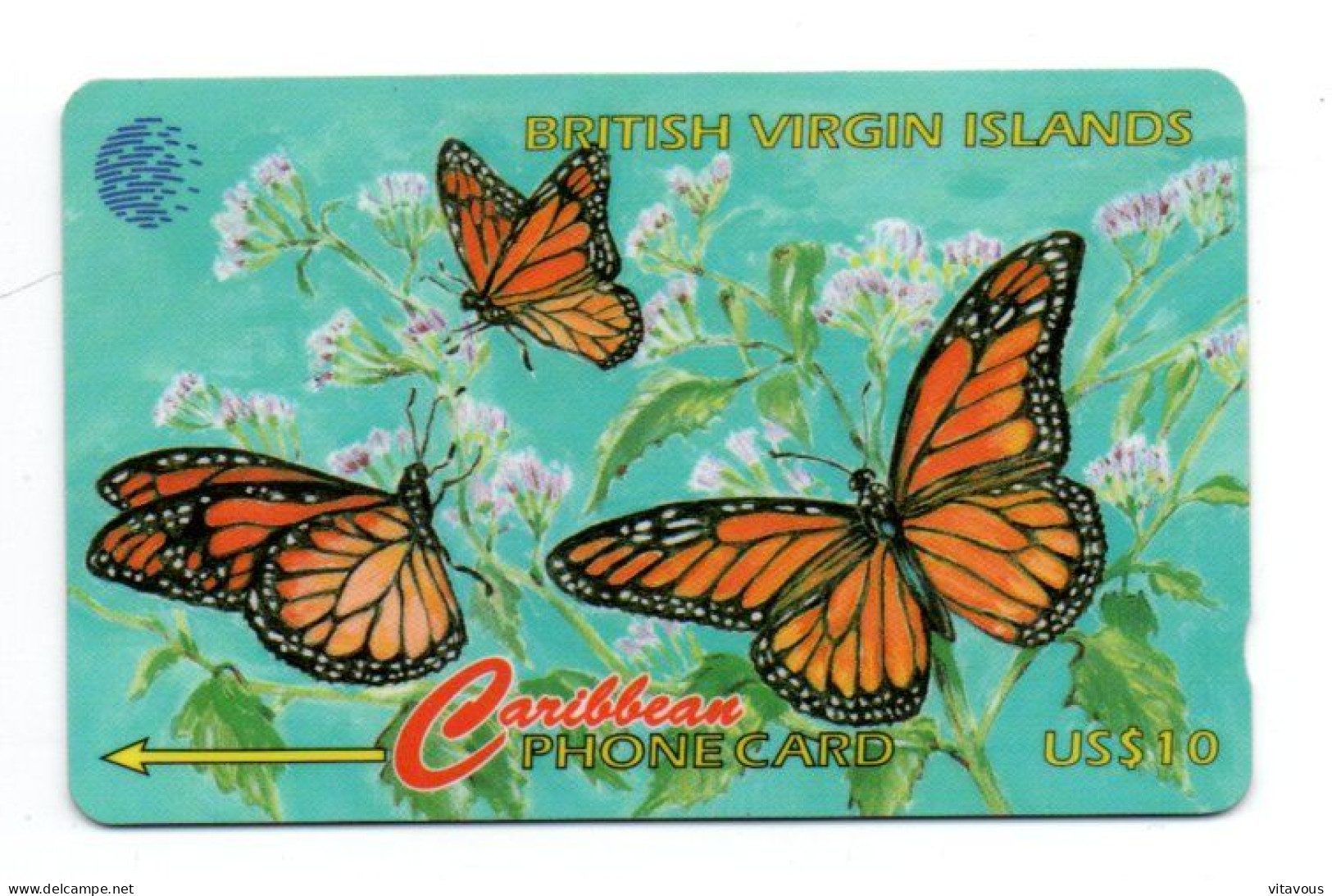 Papillon Butterfly  Caribbean Card Télécarte Islande Phonecard (K 355) - Islande