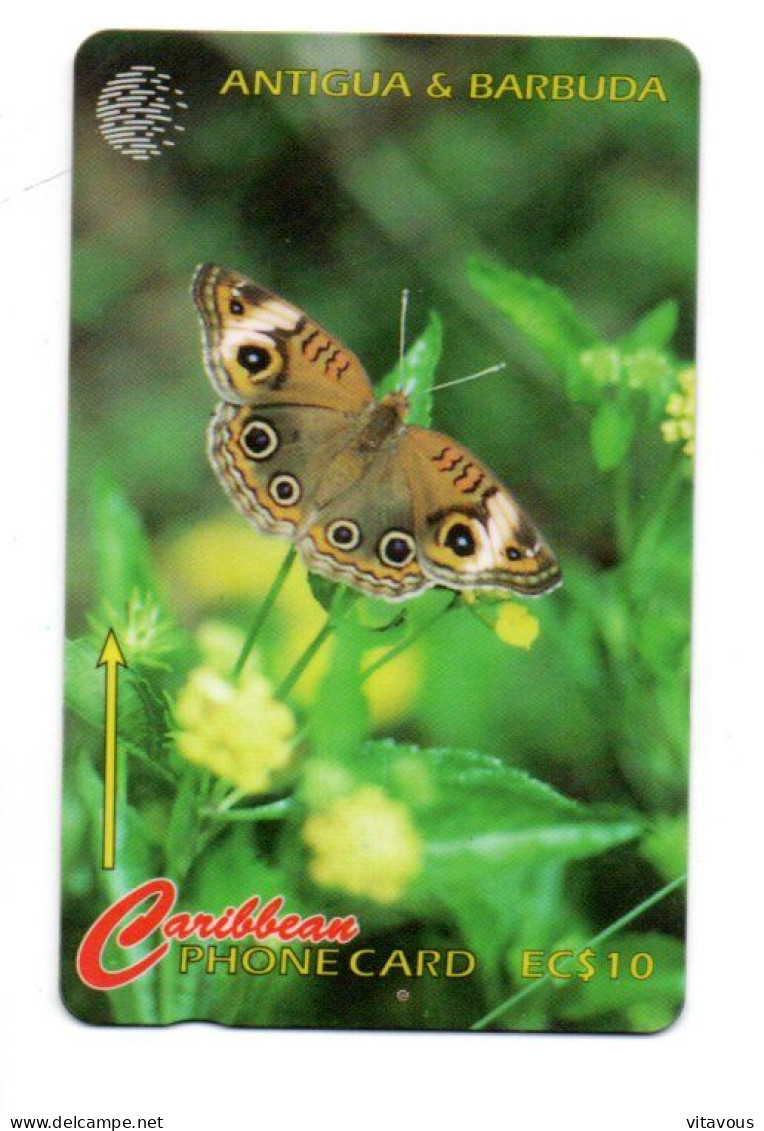 Papillon Butterfly  Caribbean Card Télécarte Antigua & Barbuda Phonecard (K 356) - Antigua Y Barbuda