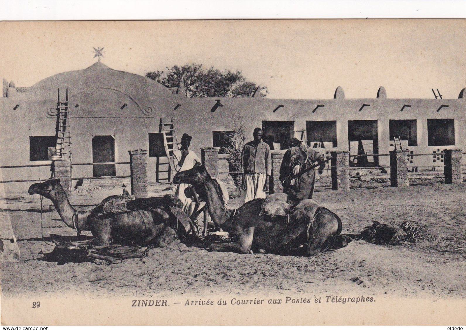 Caravane Des Postes Et Telegraphes à Zinder Niger Chameaux Dromadaire  Mail Camel Caravan - Post
