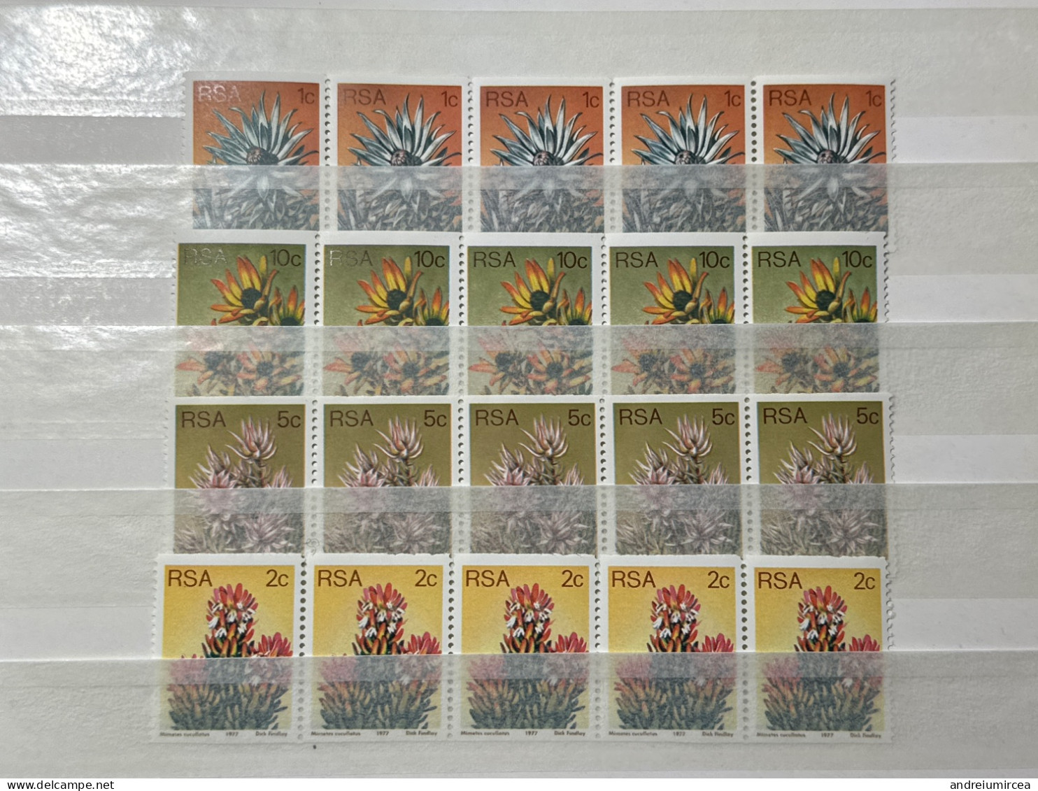 RSA MNH FLOWERS 1977 - Sonstige & Ohne Zuordnung