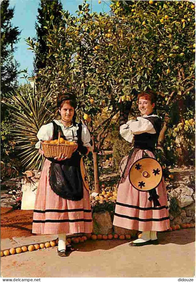 Folklore - Costumes - Cote D'Azur - Menton - Cueillette Des Citrons - CPM - Voir Scans Recto-Verso - Costumes