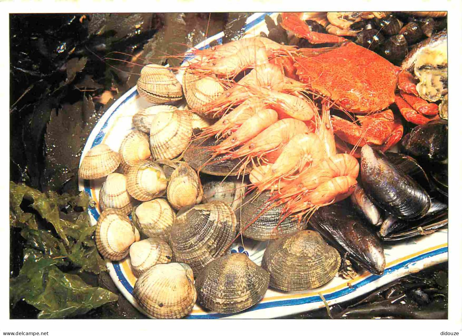 Recettes De Cuisine - Fruits De Mer - Coques Palourdes Crevettes étrilles Moules - Gastronomie - CPM - Carte Neuve - Voi - Recettes (cuisine)