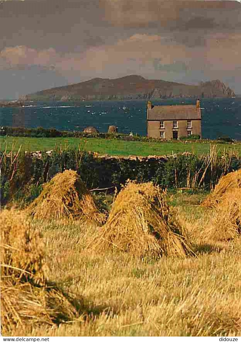 Irlande - Kerry - Inishtooskert , One Of The Blasket Islands Seen Here From The Coast Near Dunquinn - Foin - Paille - Ir - Kerry