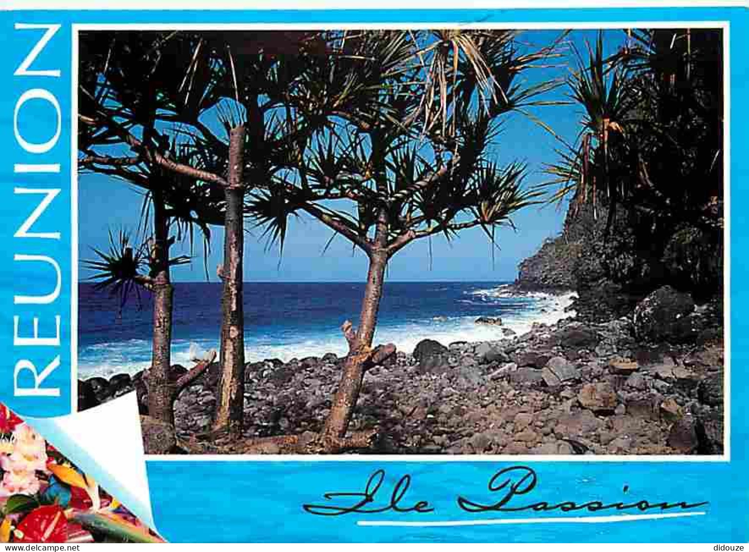 Ile De La Réunion - Manapany - Vacoas à Manapany - CPM - Voir Scans Recto-Verso - Autres & Non Classés