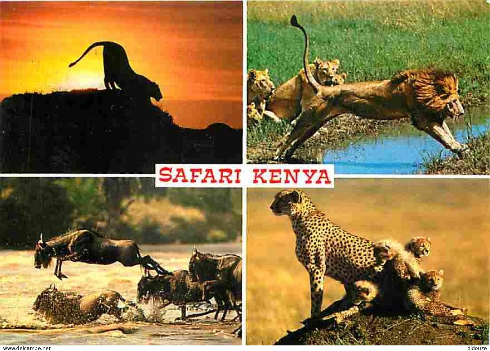 Kenya - Safari Kenya - Multivues - Animaux - Lions , Gnous , Léopards - Etat Léger Pli Visible - Voir Timbre Du Kenya Oi - Kenia