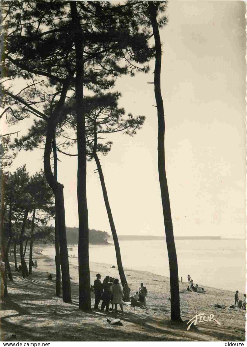 17 - Ronce Les Bains - Un Coin De La Plage - Scènes De Plage - Mention Photographie Véritable - Carte Dentelée - CPSM Gr - Sonstige & Ohne Zuordnung