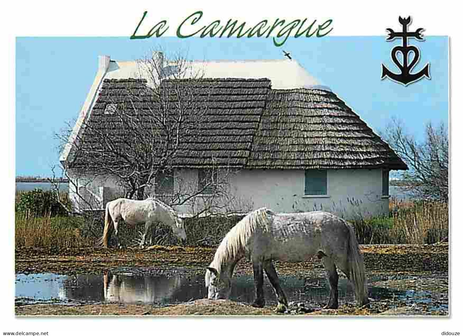 Animaux - Chevaux - Camargue - Cabane De Gardians - Carte Neuve - CPM - Voir Scans Recto-Verso - Pferde