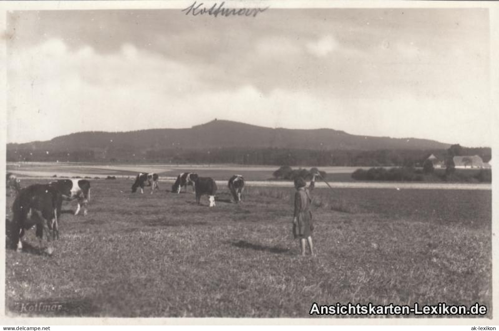 Ansichtskarte Löbau Mädchen Auf Der Weide, Mit Kottmarberg 1929  - Loebau