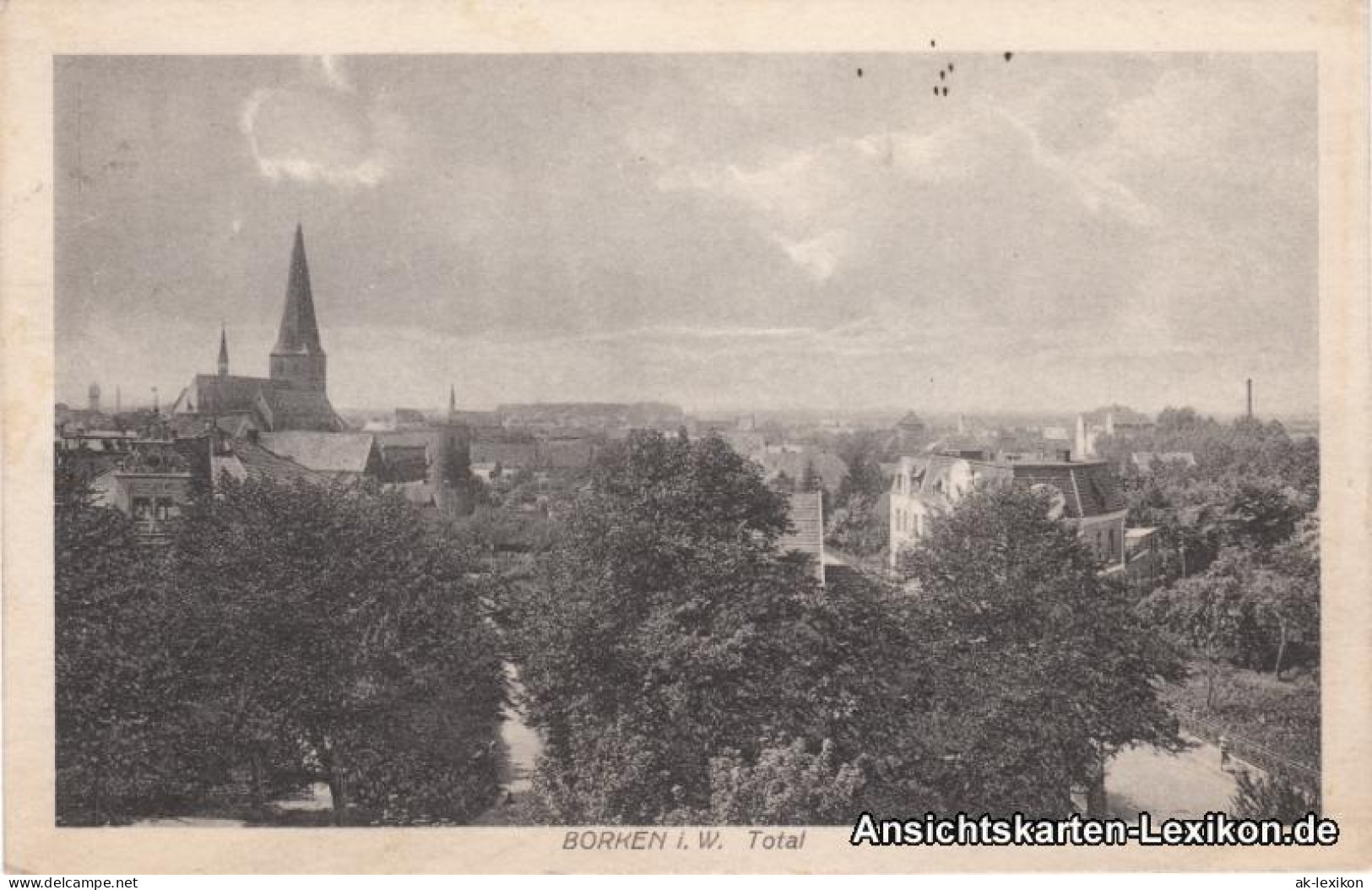 Ansichtskarte Borken (Westfalen) Totale Mit Straßenblick 1920  - Borken