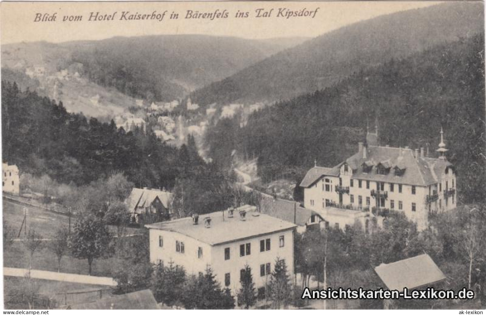 Bärenfels (Erzgebirge)-Altenberg (Erzgebirge) Hotel Kaiserhof - Totale 1918  - Altenberg