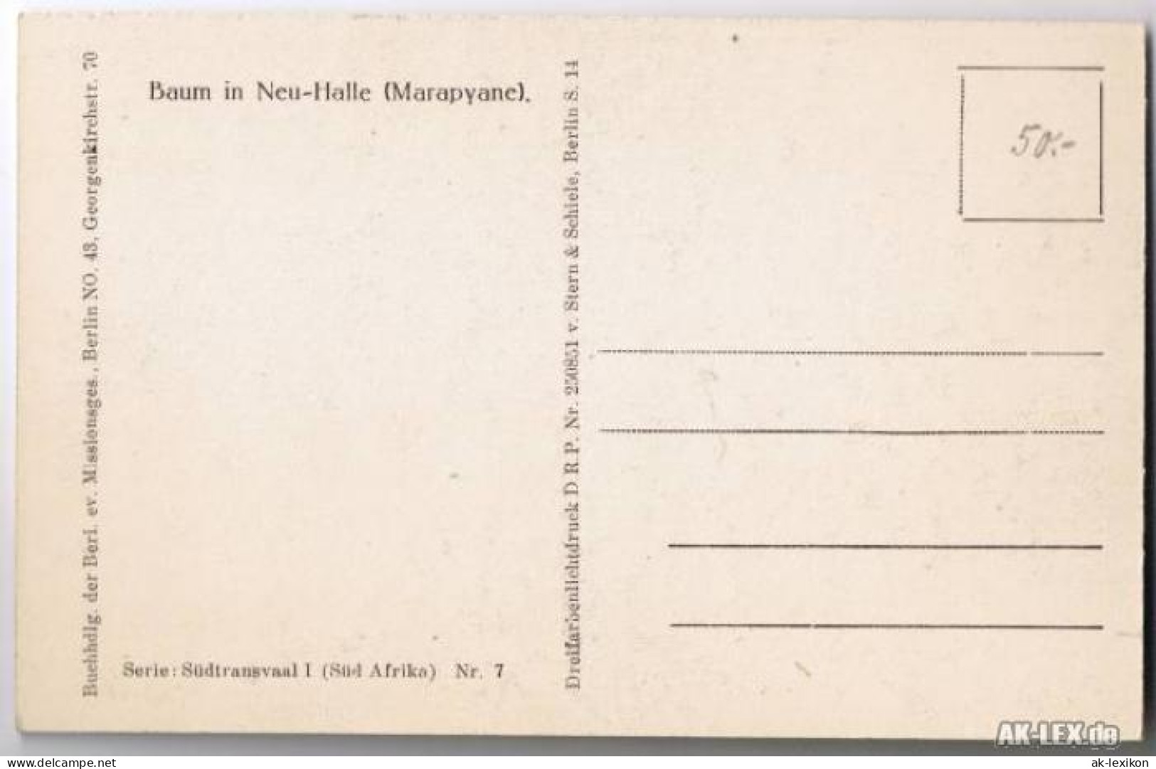 Postcard Neu-Halle Marapyane Baum In Neu-Halle (Marapyane) 1922 - Afrique Du Sud
