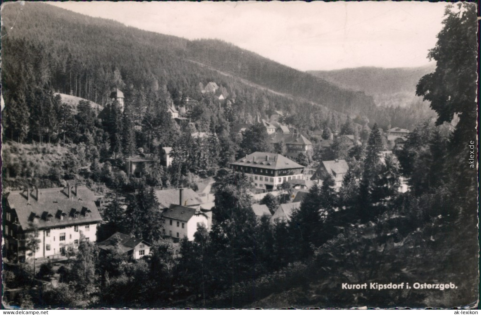 Foto Ansichtskarte   Kipsdorf Altenberg (Erzgebirge) Panorama-Ansicht 1959 - Kipsdorf