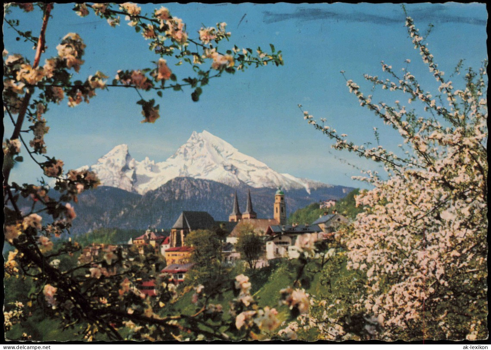 Ansichtskarte Berchtesgaden Stadtblick Baumblüte 1963 - Berchtesgaden