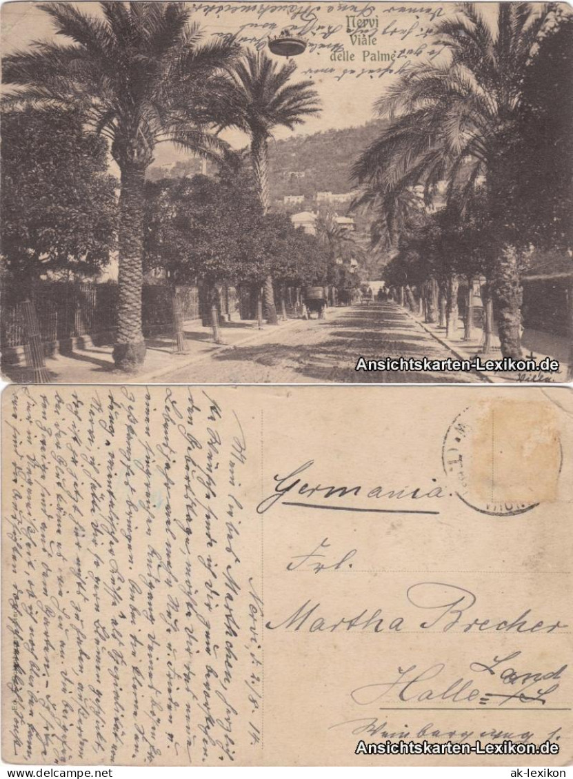 Cartoline Nervi-Genua Genova (Zena) Palmenallee 1914  - Other & Unclassified