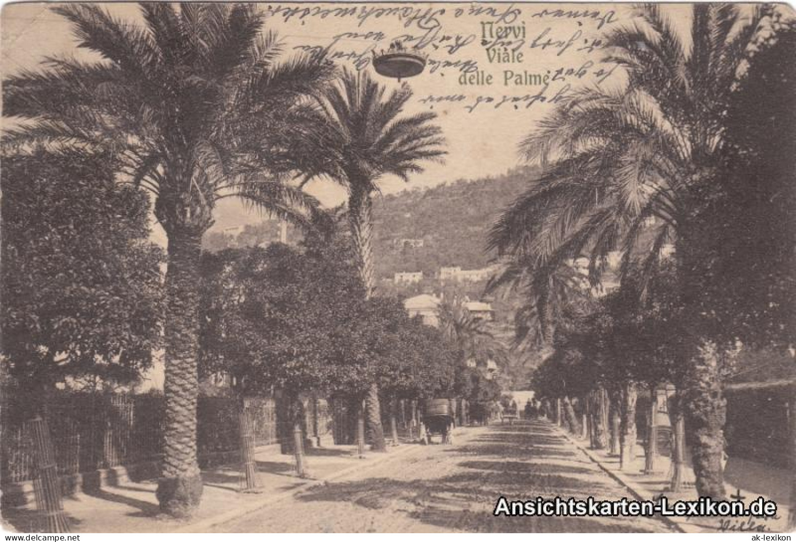 Cartoline Nervi-Genua Genova (Zena) Palmenallee 1914  - Other & Unclassified