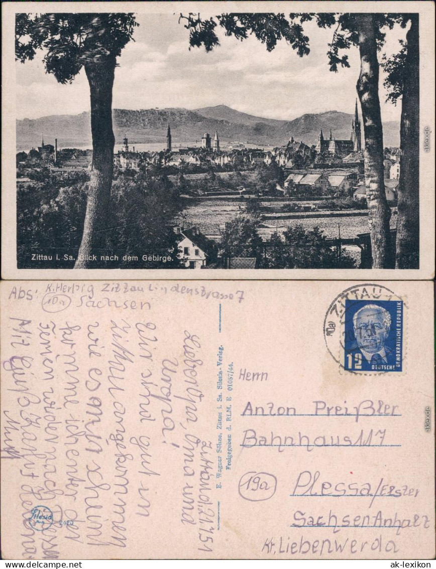 Zittau Panorama: Blick Nach Dem Gebirge 1951 - Zittau