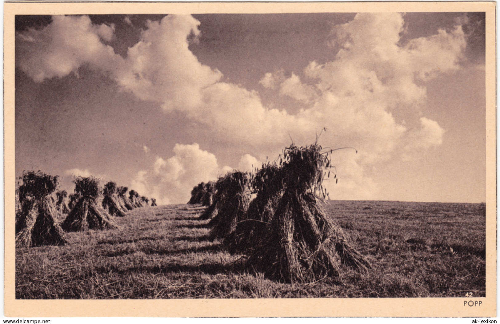 Ansichtskarte  Geerntetes Feld Getreidebündel 1927 - Bauern