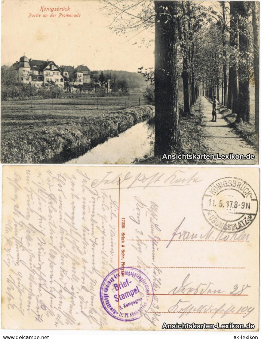 Ansichtskarte Königsbrück Kinspork Partie An Der Promenade 1917  - Koenigsbrueck