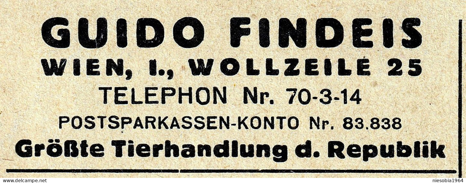 Guido Findeis Vienna 26 IX 1928 Austria Company Postcard - Tarjetas