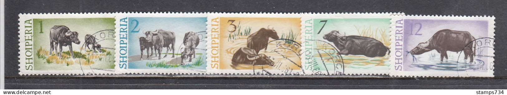 Albania 1965 - Water Buffalo, Mi-Nr. 921/25, Used - Albania