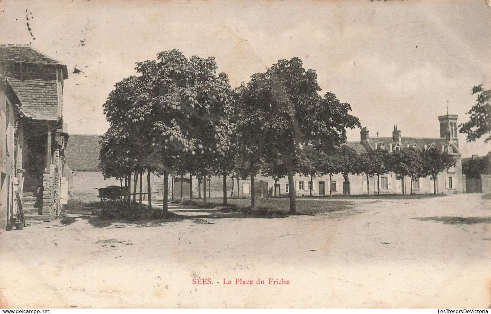 FRANCE - Sées - La Place Du Friche - Carte Postale Ancienne - Sees