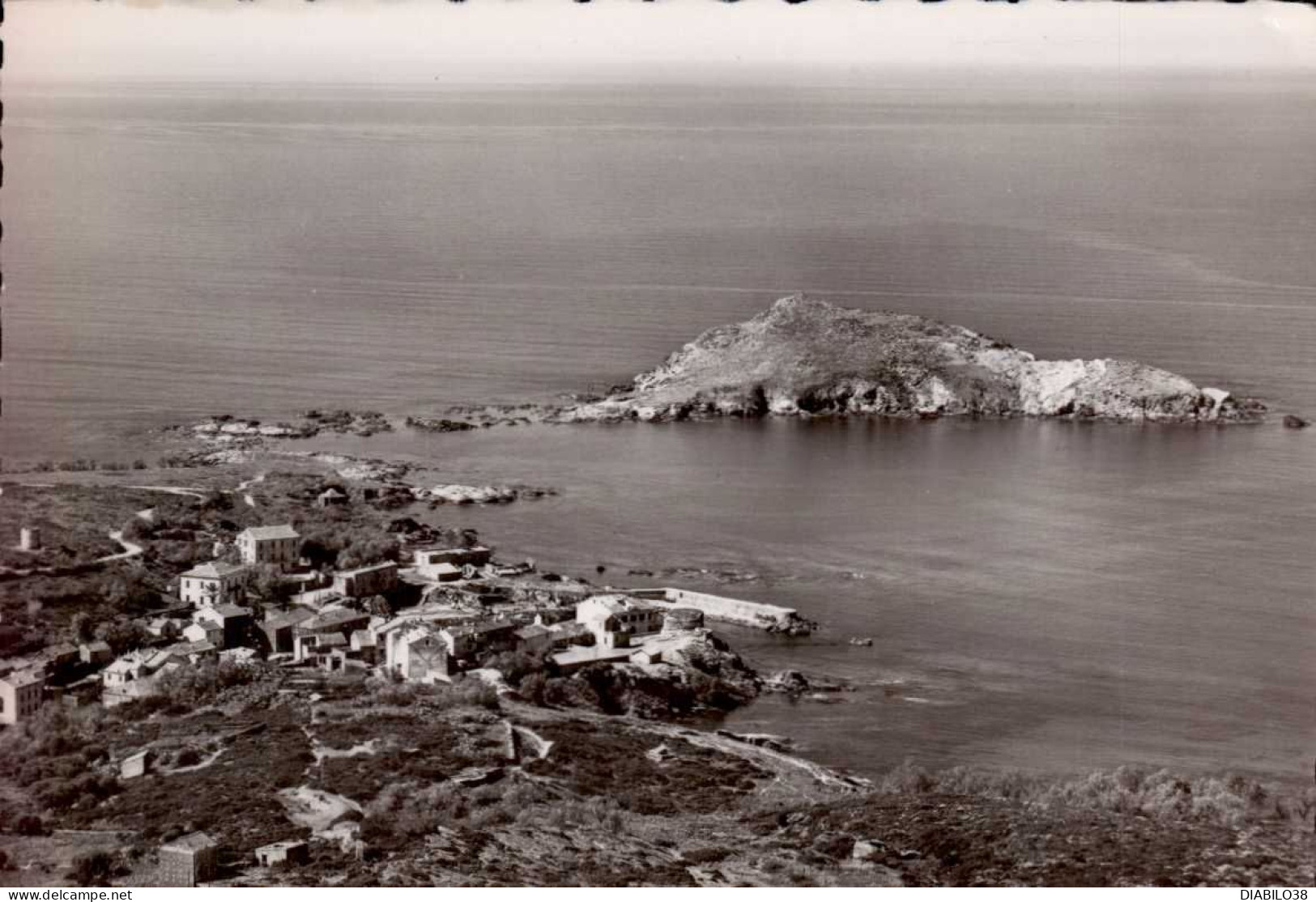 CAP CORSE   ( HAUTE CORSE )   LE PORT ET L ' ILE DE CENTURI - Autres & Non Classés