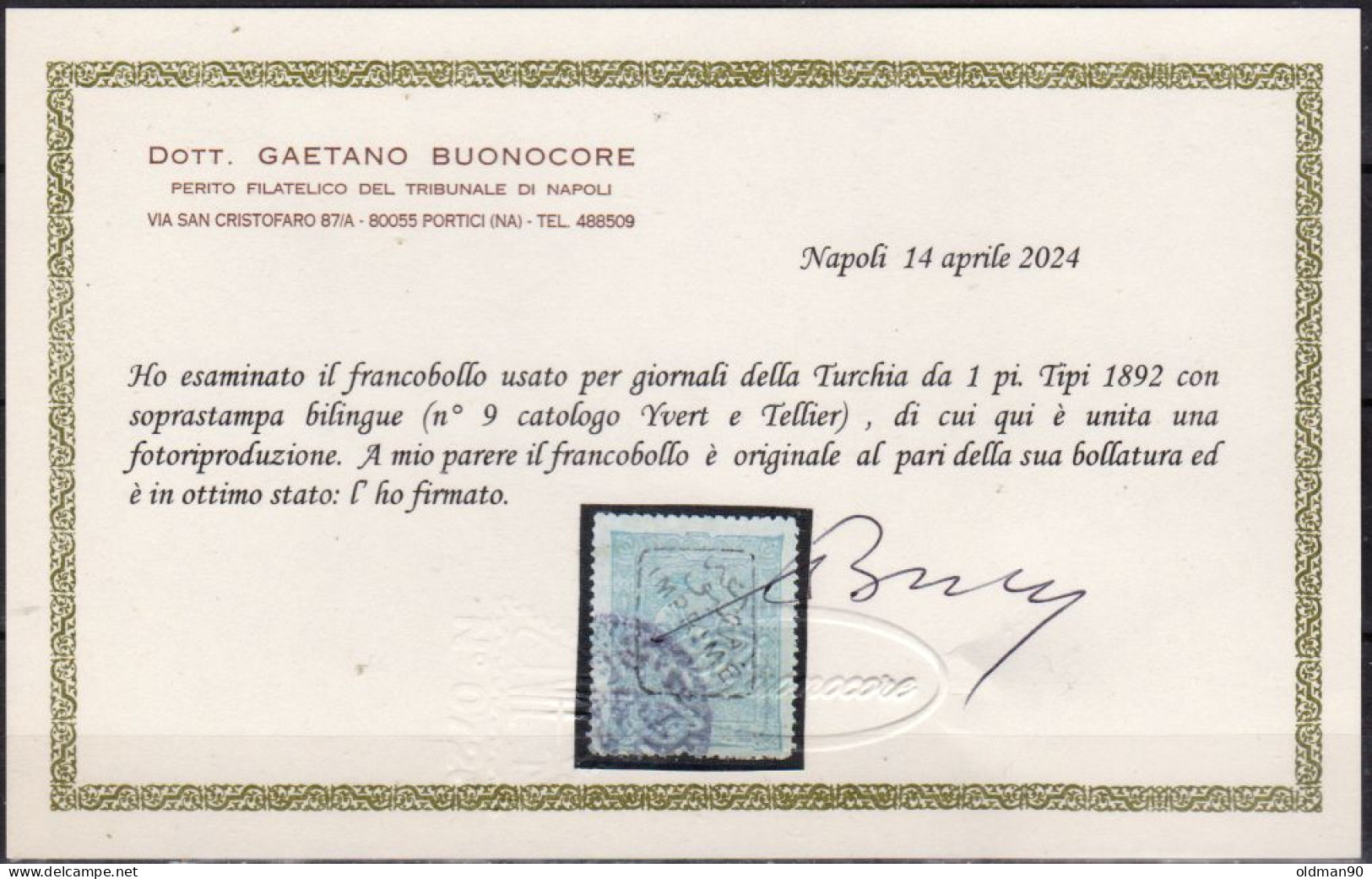 Turchia-0102C - Certificato Valore Per Giornali N.9- Emissione 1892 -Qualità A Vostro Giudizio. - Used Stamps