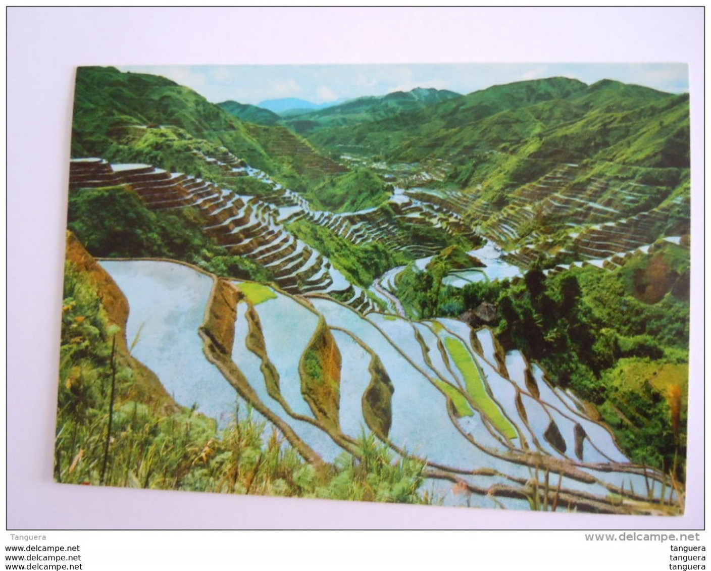 Filipijnen Philippines The World Famous Banaue Rice Terraces Riz - Philippines