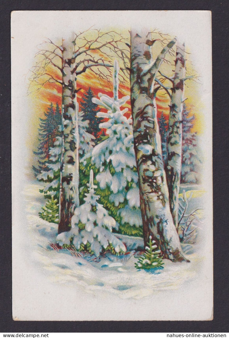 Ansichtskarte Künstlerkarte Schnee Winterlandschaft Ab Wittenberg Lutherstadt - Storia Postale