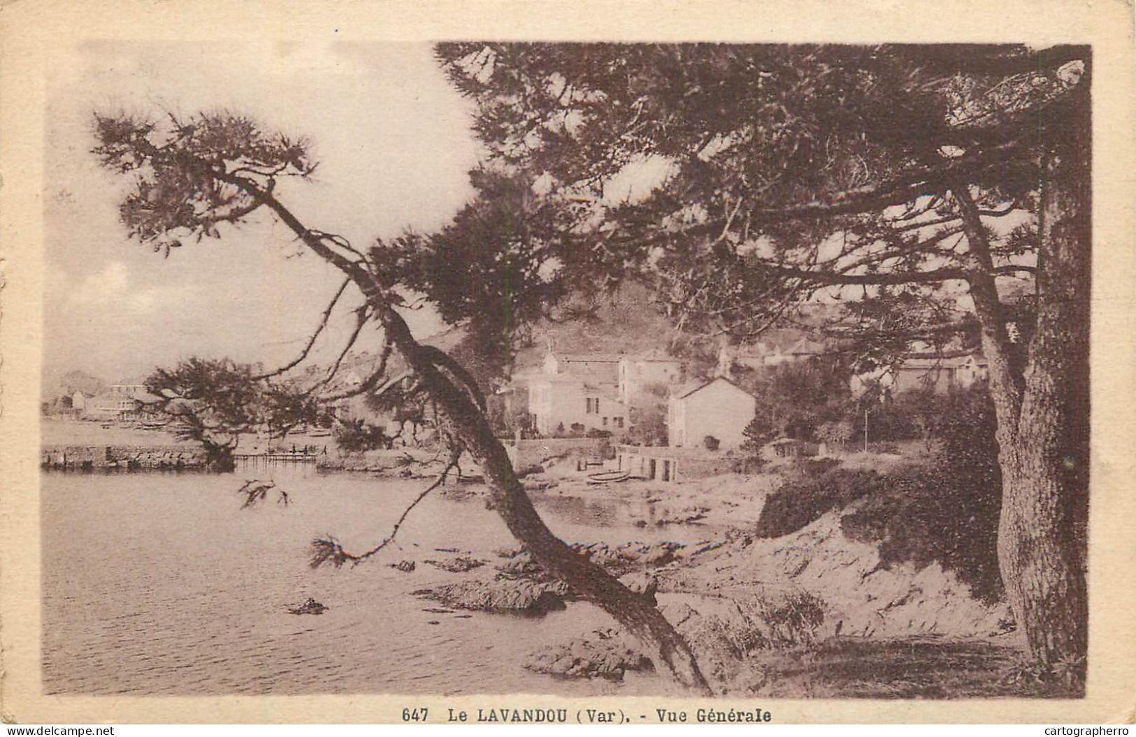 CPA France Le Lavandou - Le Lavandou