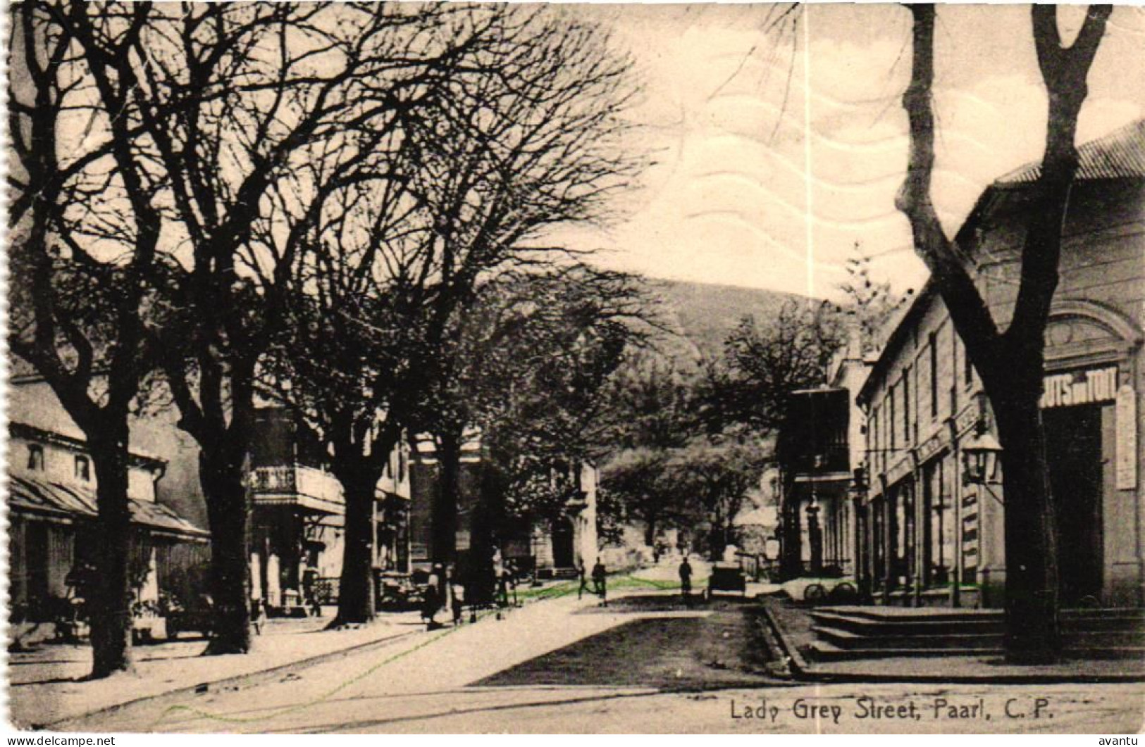 SOUTH AFRICA / LADY GREY STREET  PAARL - Sud Africa