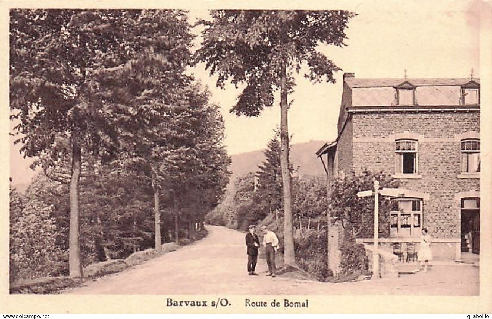 Durbuy - BARVAUX Sur OURTHE - Route De Bomal - Durbuy