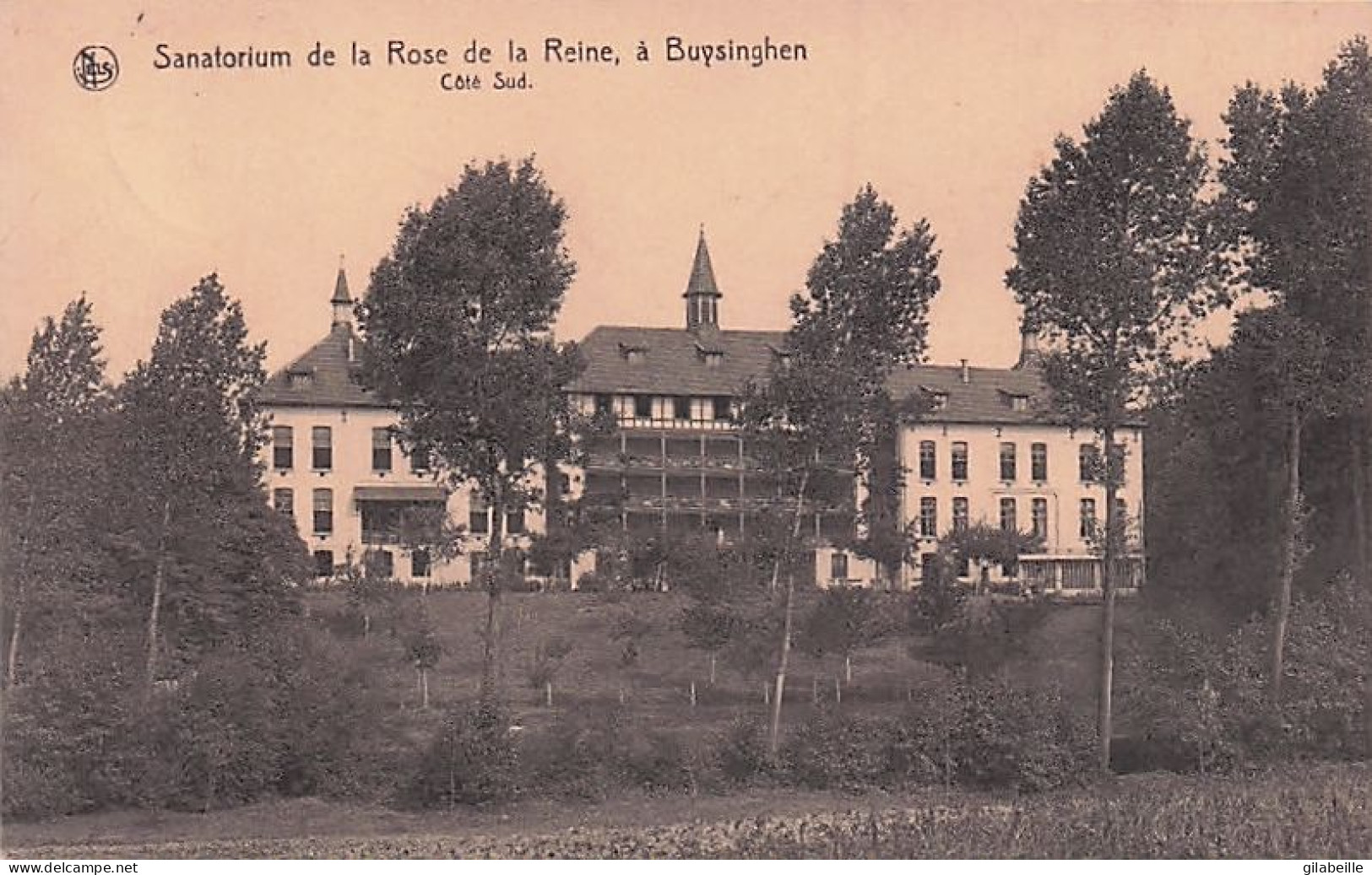 Buizingen - Buyzingen - Sanatorium Rose De La Reine - Sanatorium Roos Der Koningin - Coté Sud - Halle