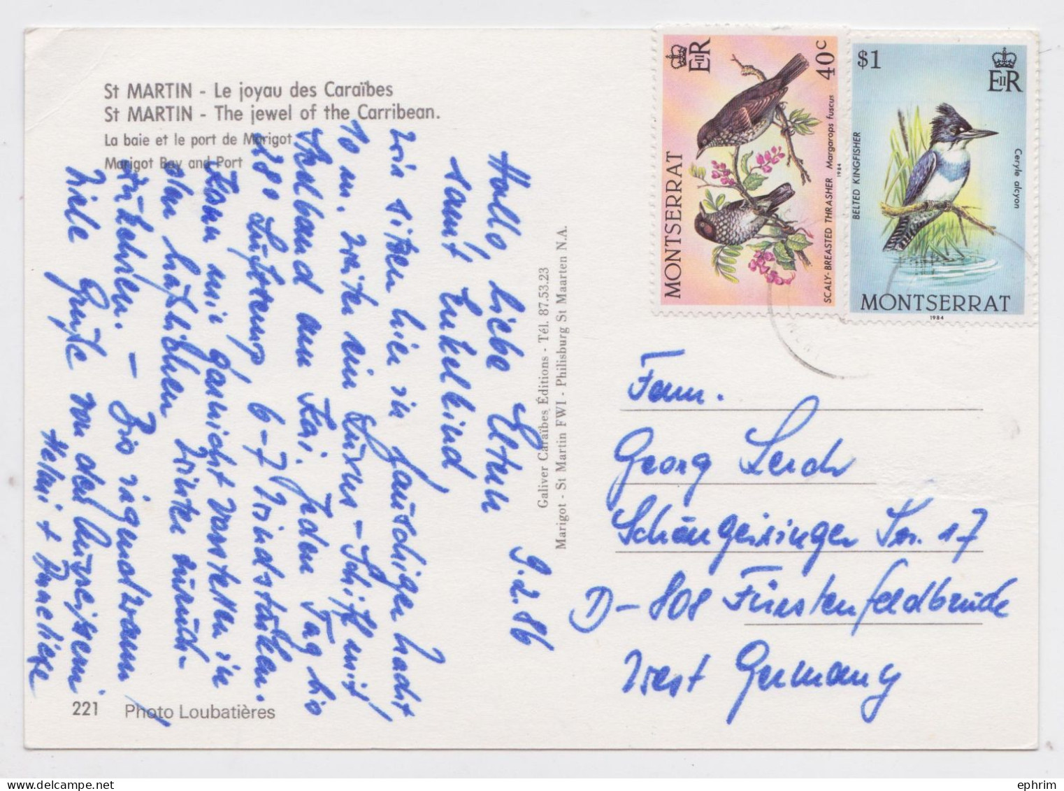 Montserrat Carte Postale Timbre Oiseau Martin-Pêcheur Kingfisher Bird Avers Sello Stamp Air Mail Postcard 1986 - Montserrat