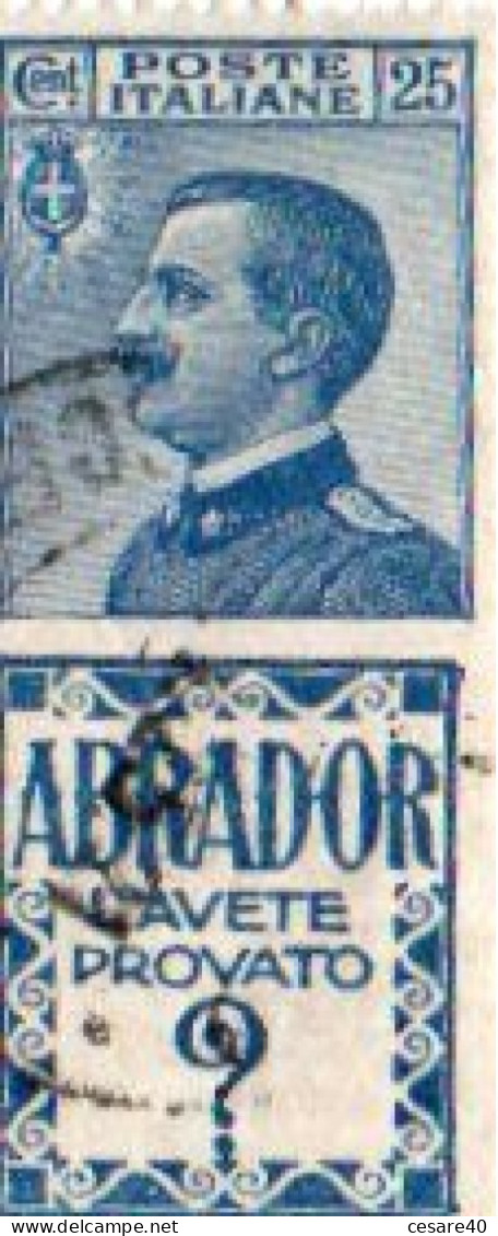 ITALIA - PUBBLICITARI - 1924 ABRADOR, Cent 25 Usato, Perfetto - Nov 2023-11 - Publicity