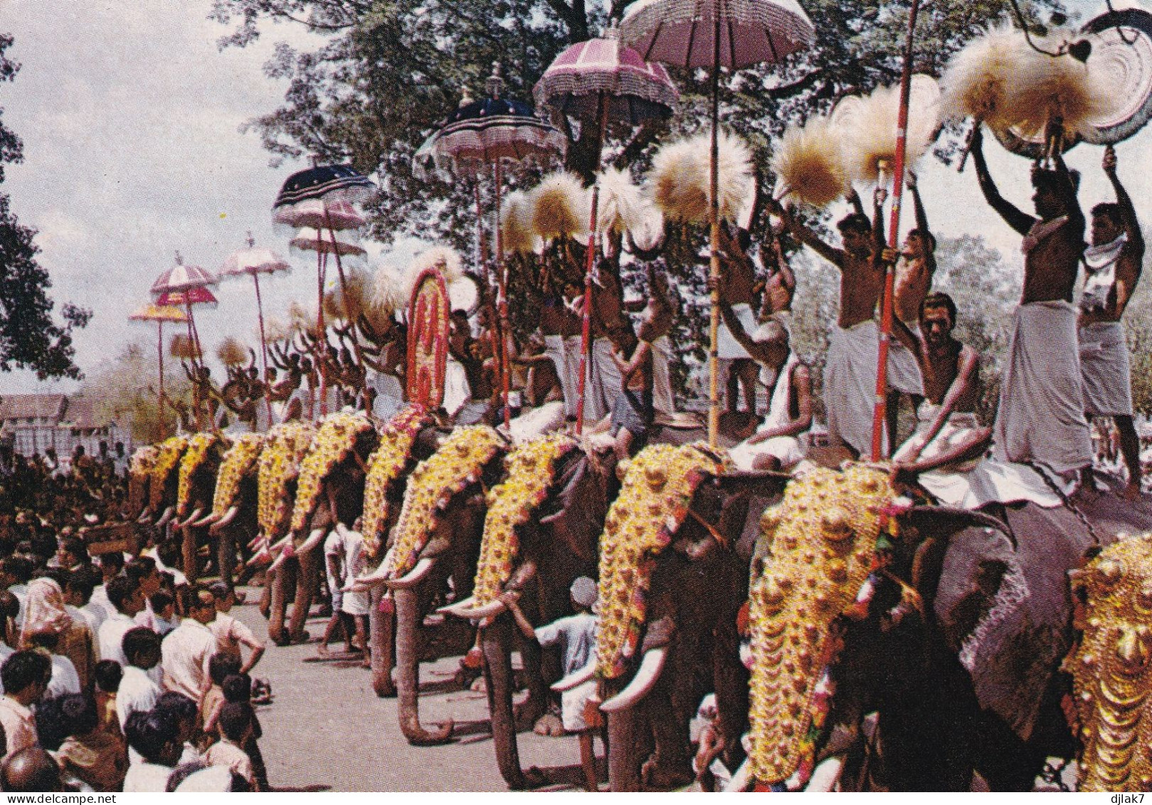 Inde Festival Pooram Trichur Avec Éléphants - Elefantes