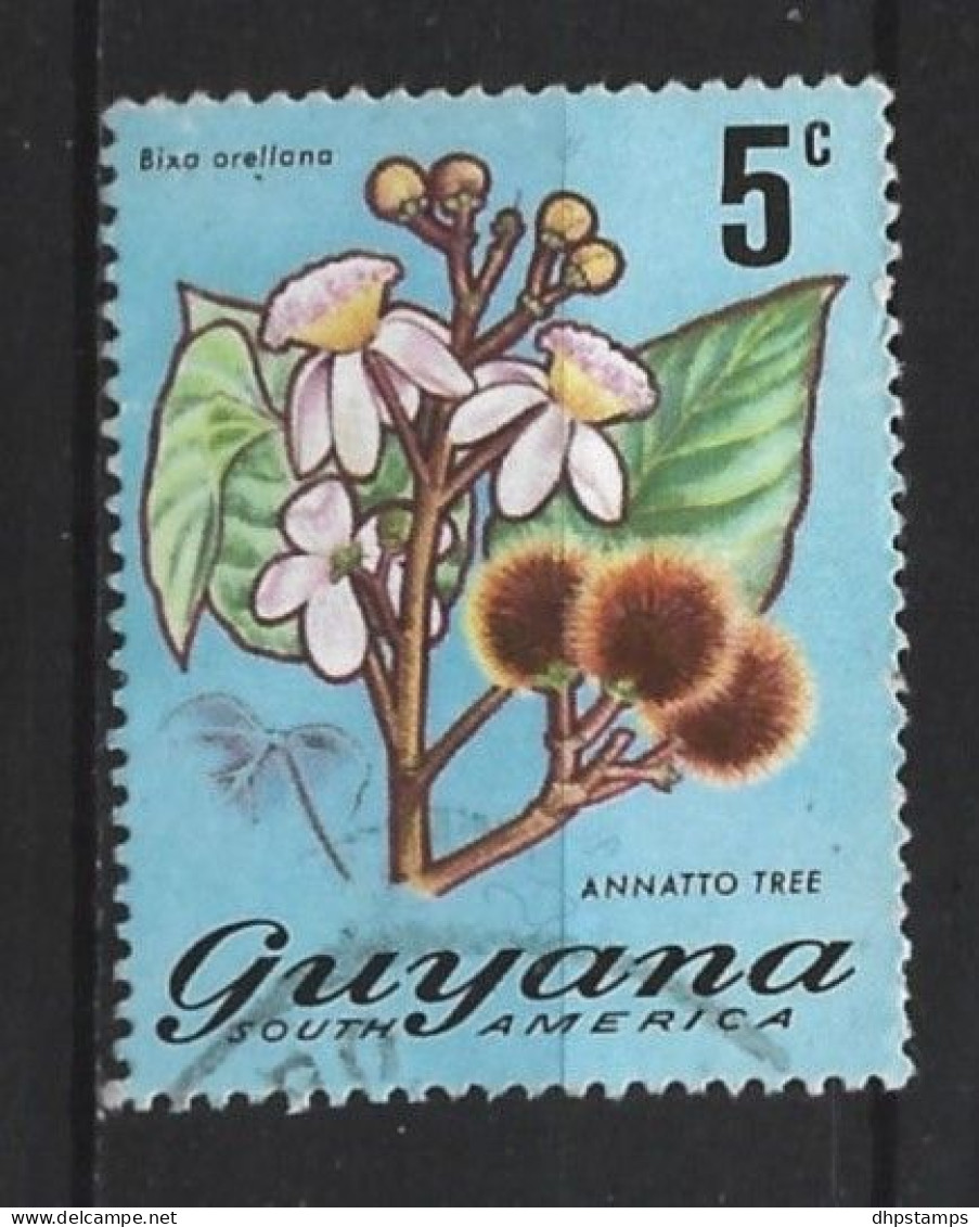 Guyana 1971 Flowers Y.T.  379 (0) - Guyana (1966-...)