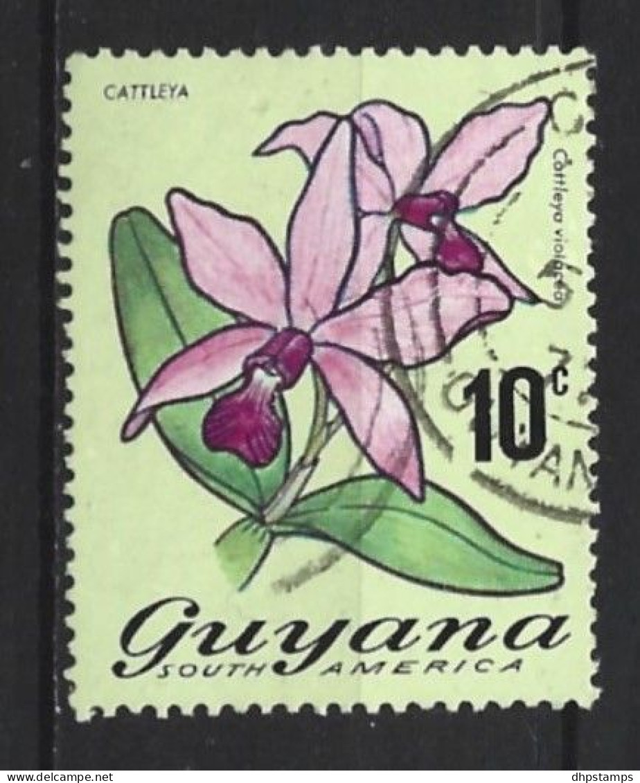 Guyana 1971 Flowers Y.T.  381 (0) - Guyane (1966-...)