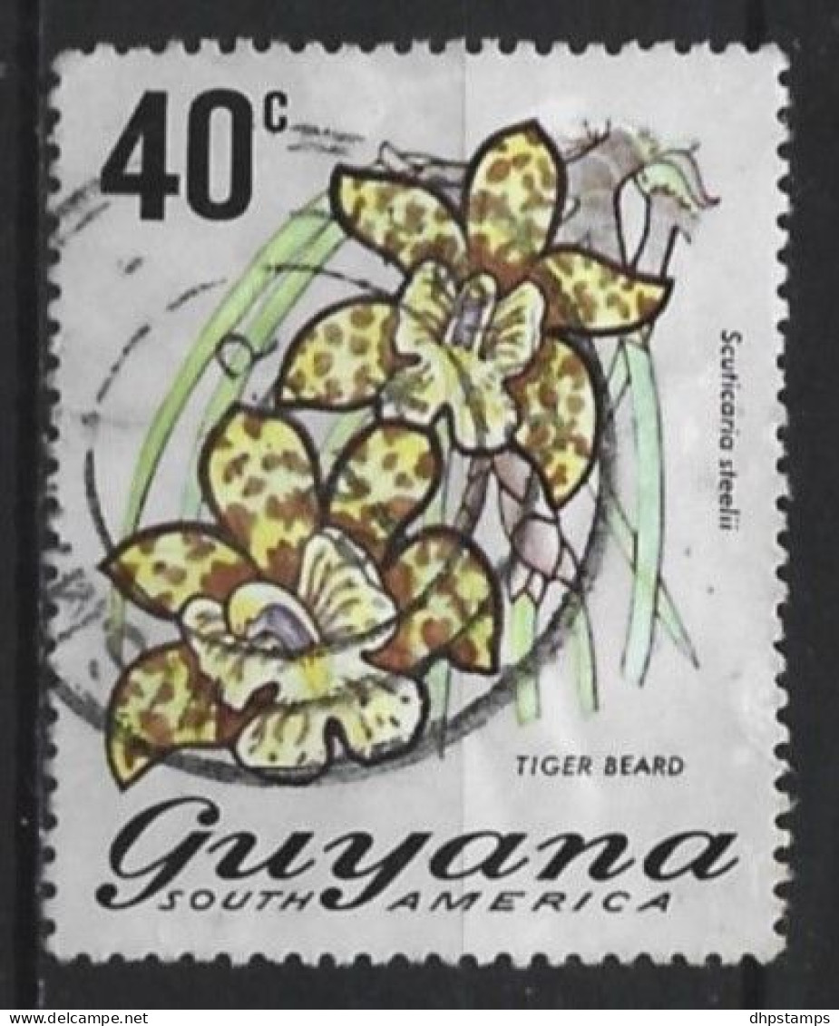 Guyana 1971 Flowers Y.T.  385 (0) - Guyane (1966-...)