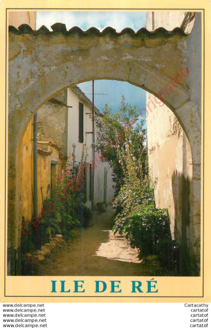 17.  ILE DE RE .  Ruelle Fleurie De Roses Trémières . - Ile De Ré