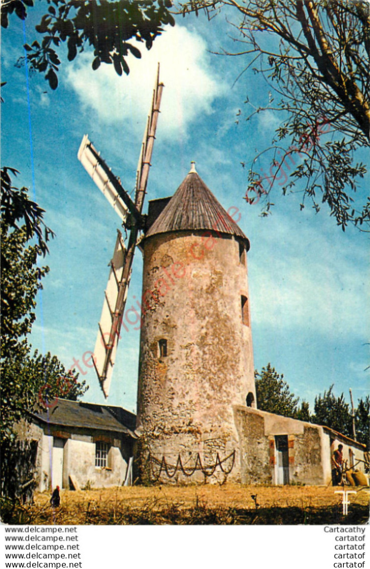 85. Moulin De Rairé .  Pays De Monts .  VENDEE . - Sonstige & Ohne Zuordnung