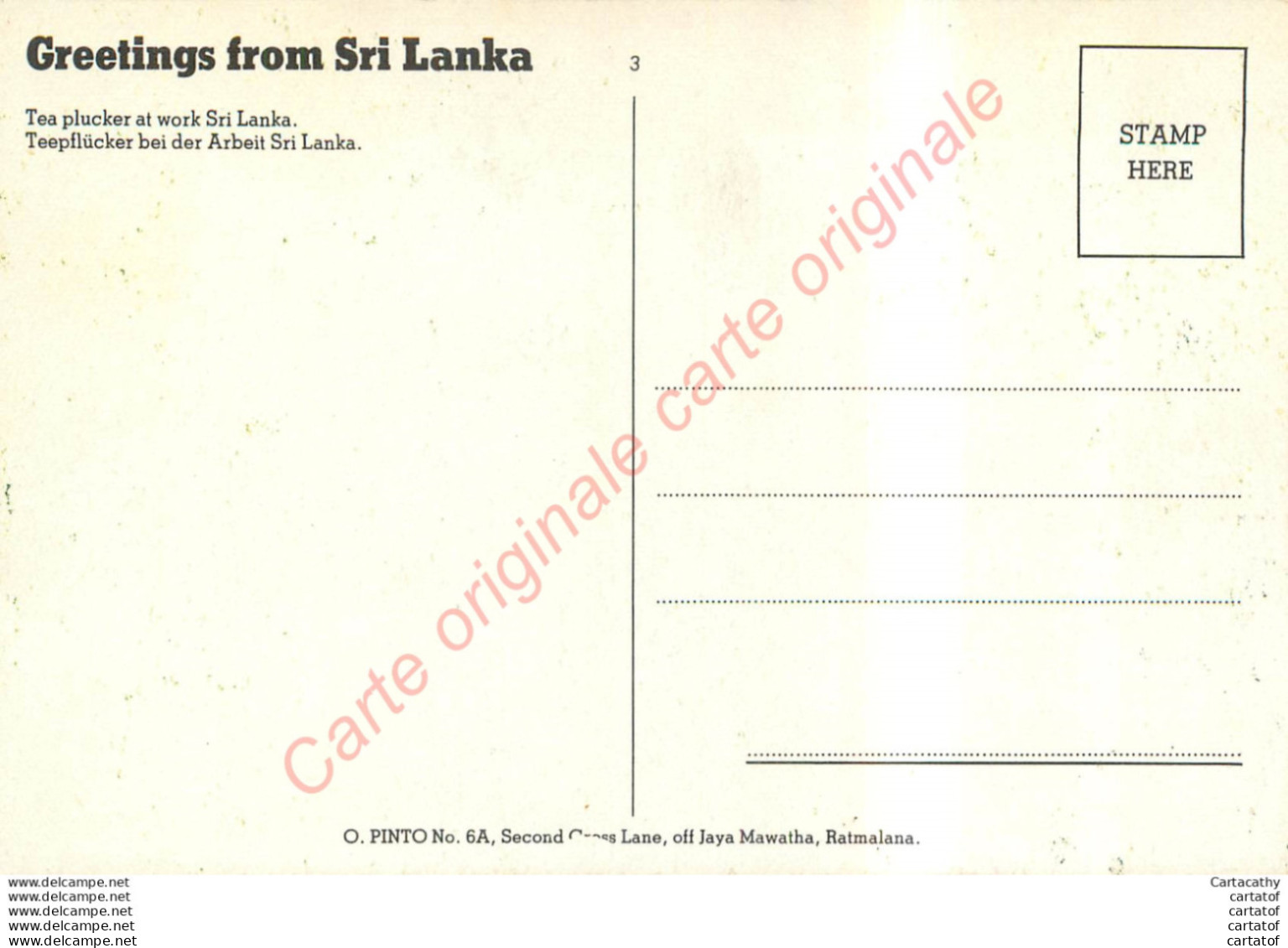 Greetings From SRI LANKA .  Tea Plucker At Work . Cueillette Du Thé ... - Sri Lanka (Ceylon)