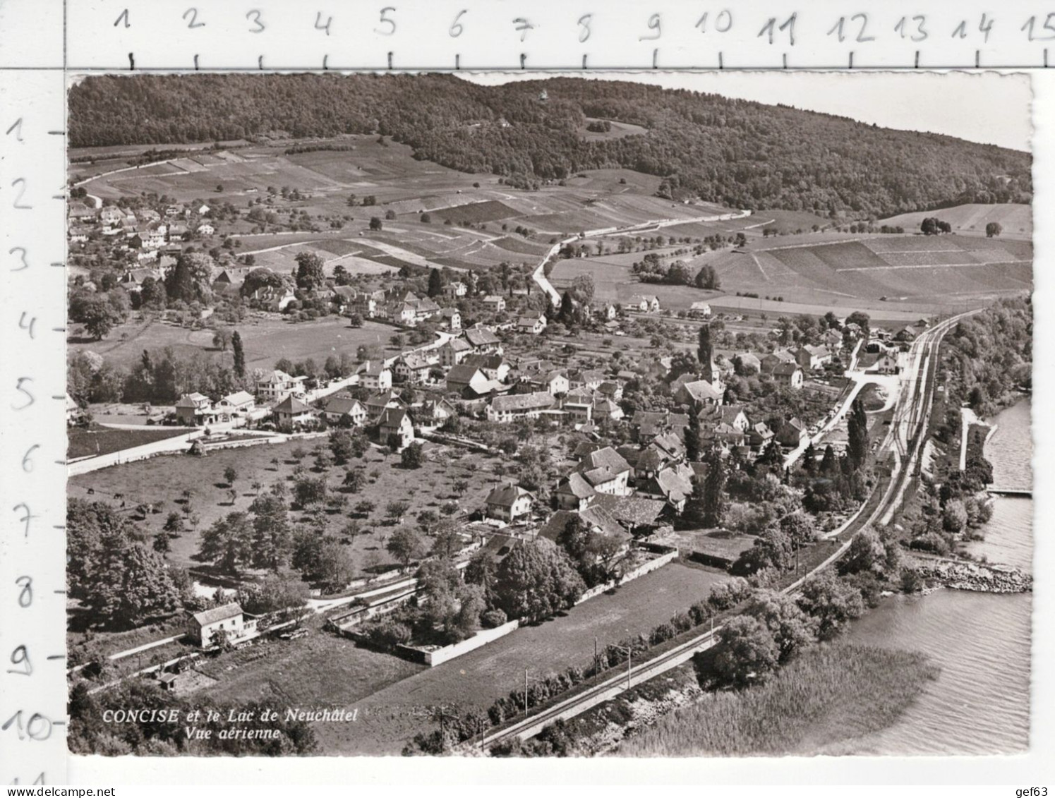 Concise Et Le Lac De Neuchâtel - Vue Aérienne (1959) District Du Jura-Nord Vaudois - Concise
